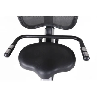 Cyclette Toorx BRX-R300