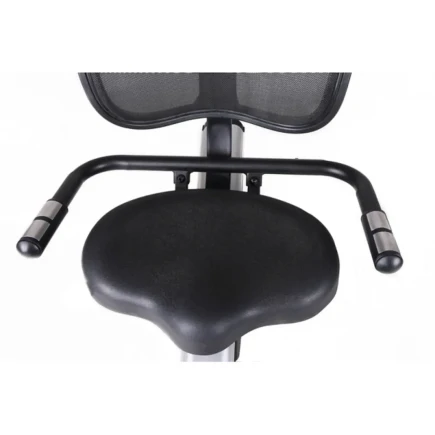 Cyclette Toorx BRX-R300