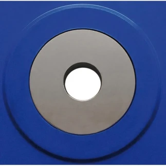 Dischi e Bilancieri Toorx Coppia Dischi Bumper Competition 15 Kg cadauno