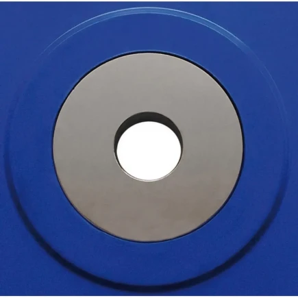 Dischi e Bilancieri Toorx Coppia Dischi Bumper Competition 15 Kg cadauno