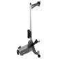 Vogatori Toorx Rower Active Pro