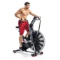 Cyclette Schiwnn Airdyne AD8