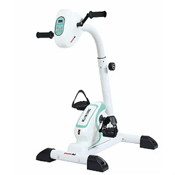 Cyclette Everfit Welly E Combi