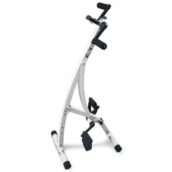 Cyclette Everfit Welly S Combi