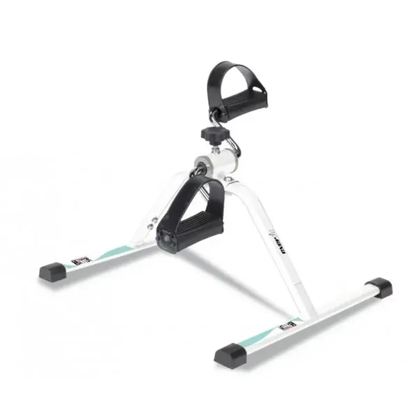 Cyclette Everfit Welly S