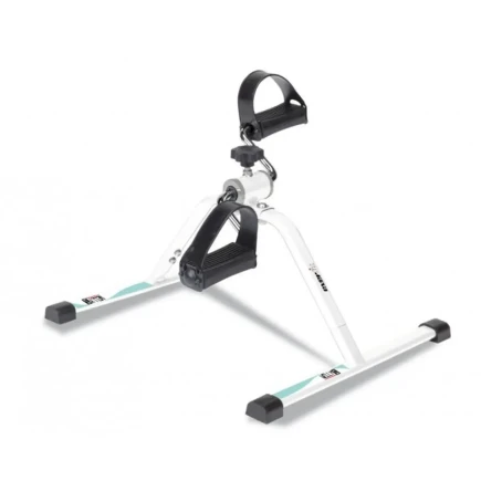 Cyclette Everfit Welly S