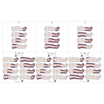 Pressoterapia Mesis PRESSOTERAPIA PRESSOMEDICAL 6.0 BASIC