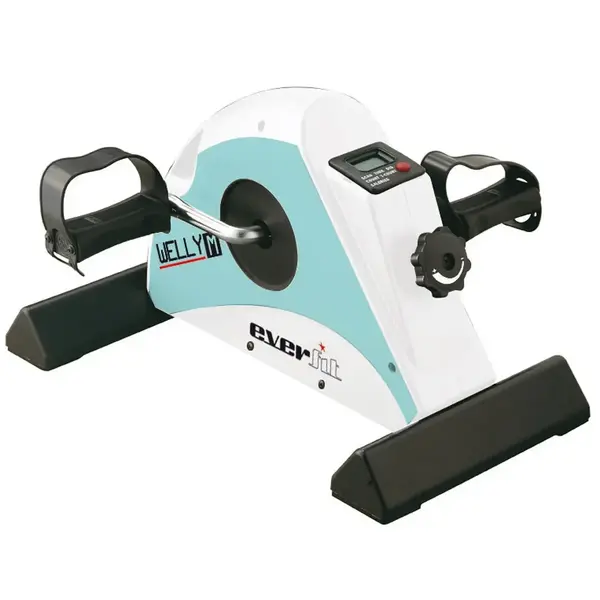Cyclette Everfit Welly M