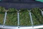 Trampolini elastici ed accessori Garlando Proline S diam. 183 cm