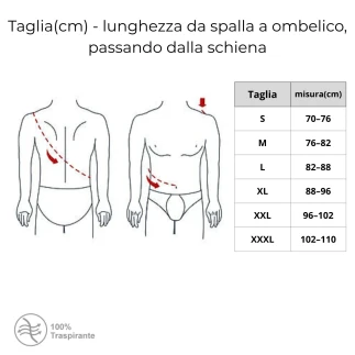Taglie - Raddrizzaspalle
