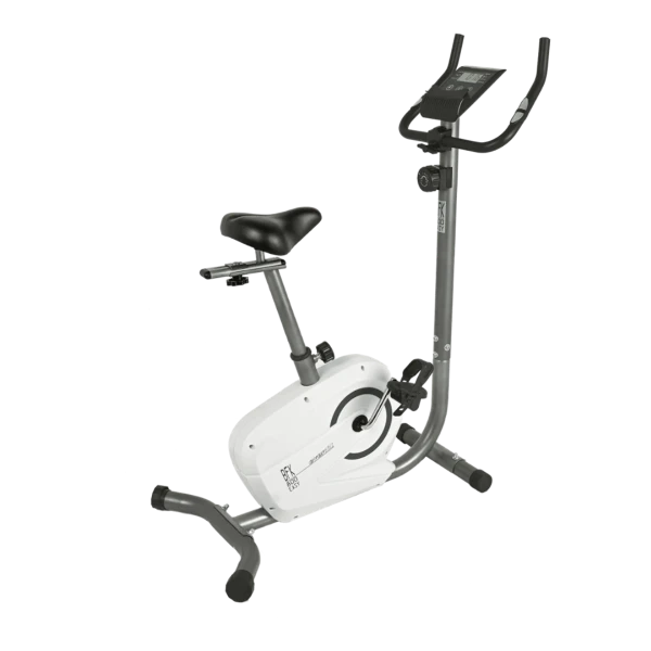 Cyclette Everfit BFK 800 EASY accesso facilitato