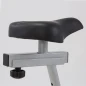 Cyclette Toorx BRX-Flexi