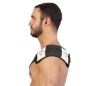 Accessori Magnetoterapia Globus Solenoide Flessibile 30×10cm - 2 bobine