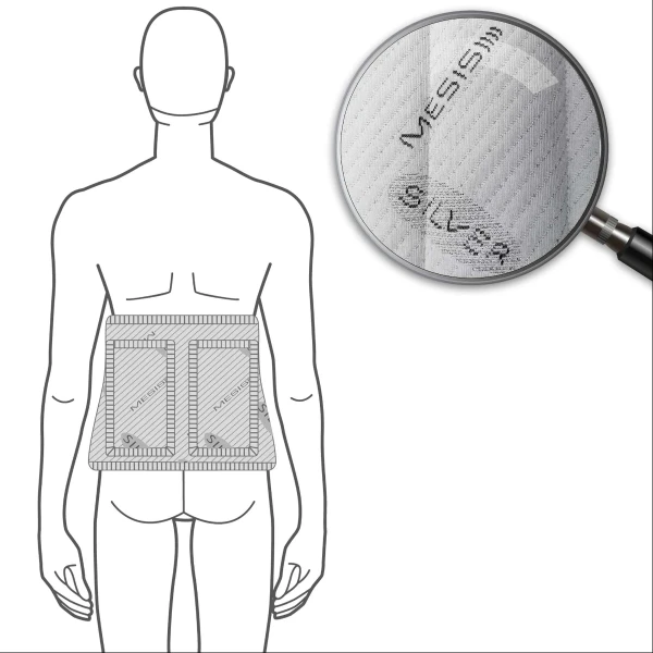 Accessori Magnetoterapia Mesis Fascia Lombare/Renale/Glutei per Magnetowaves Accessori Magnetoterapia Mesis Fascia Lombare/Renale/Glutei per Magnetowaves