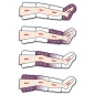 Pressoterapia Mesis PressoMedical 1.0 FOUR4