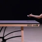 Tavoli da Ping Pong Cornilleau Competition 850 WOOD ITTF