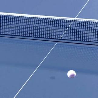 COMPETITION 610 ITTF Indoor