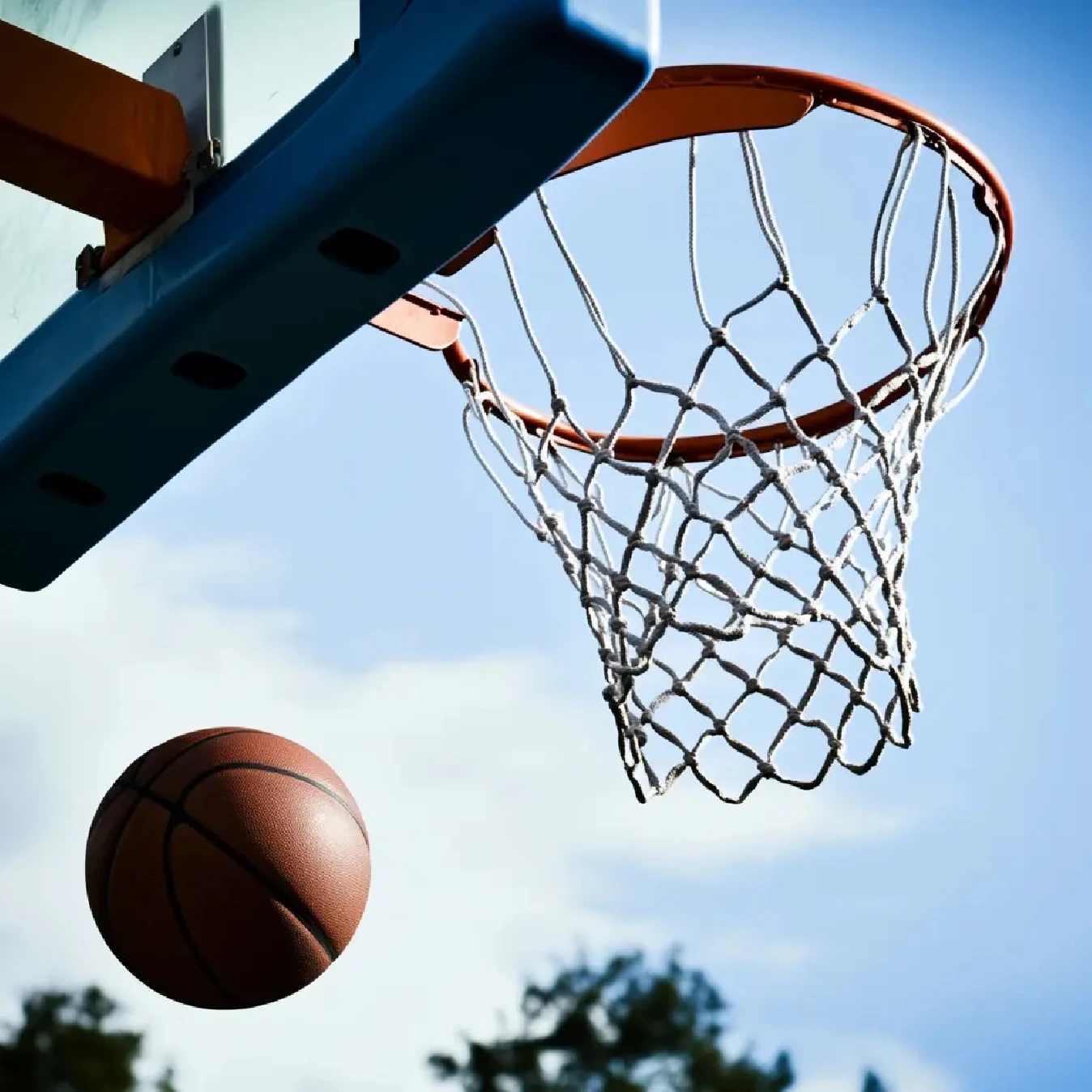 Basket e Accessori | Oneshop.it